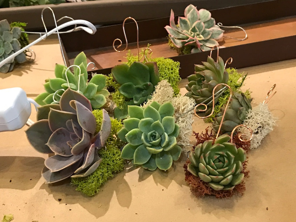 How To Make A Succulent Ornament
