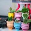 3" Wiggle Cup Planters