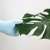 Leaf-Shining Gloves