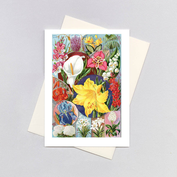 Spring Flowers - Blank Card