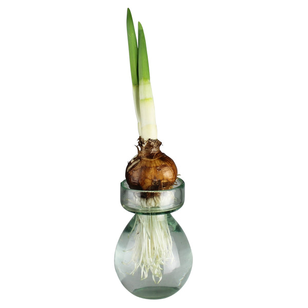 Recycled Bulb Vase