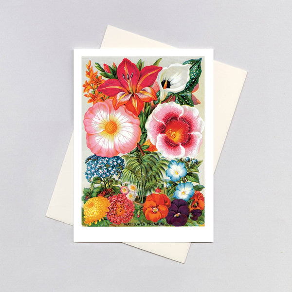 Summer Flowers - Blank Card