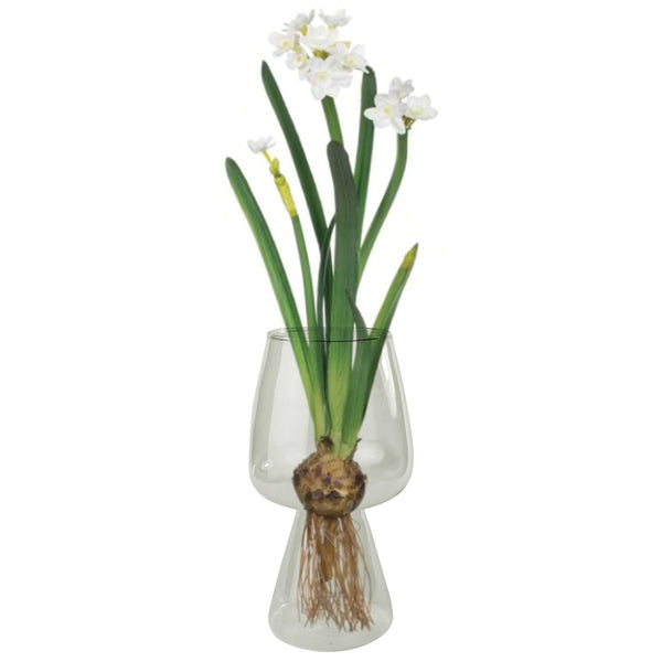Glass Bulb Vase
