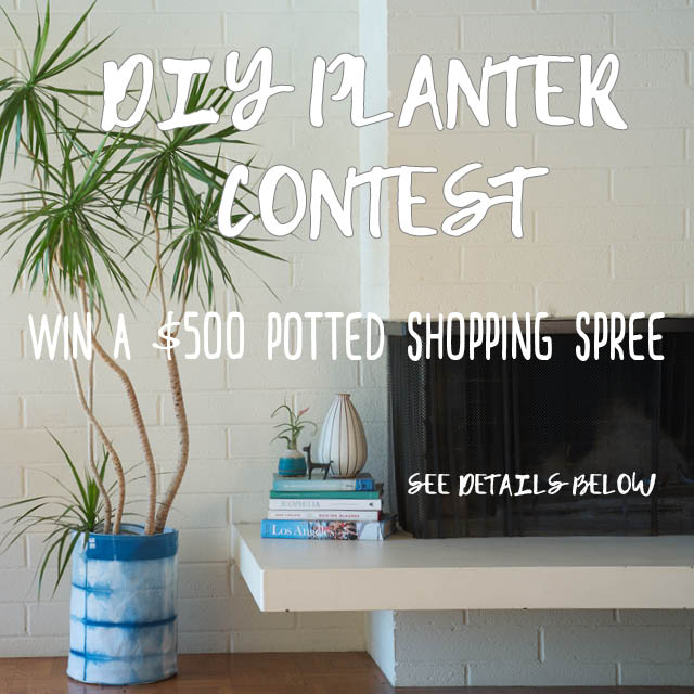 Potted Style DIY Contest