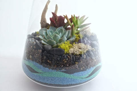 How To Make A Sand Terrarium