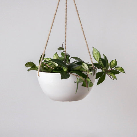 10" Signature Stone Hanging Planter Pot