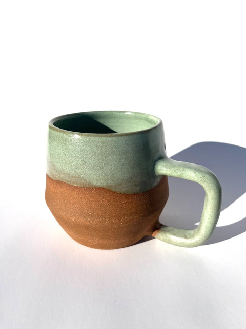 Lichen Mountain Mug