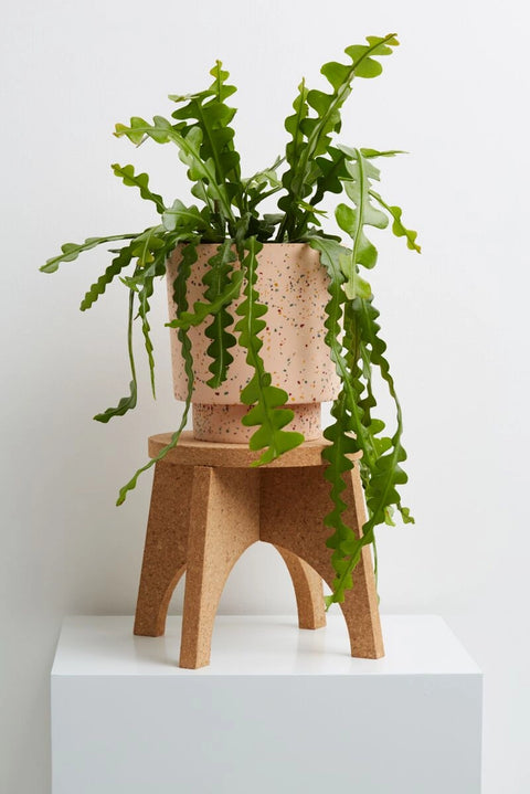 Cork Plant Stand