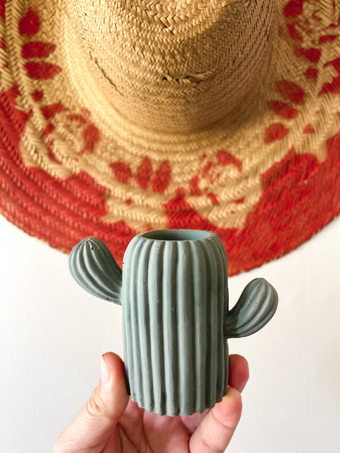 Mini Cactus Airplant Holder