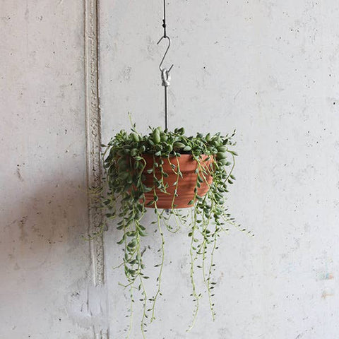 Bolty – Hanging Planter System for Pots