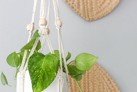 Boho Macrame Beaded Hanging Plant Holder