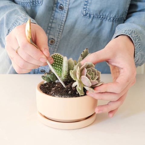 Brass Planting Spoon