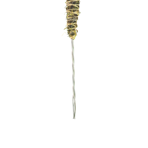 3 Pack Bendable Moss Pole™ 𝘛𝘏𝘐𝘕