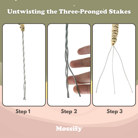 3 Pack Bendable Moss Pole™ 𝘛𝘏𝘐𝘕