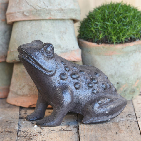 Cast Iron Garden Frog