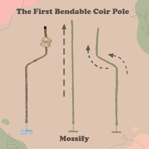 Original Bendable Coir Pole™ - Climbing Plants
