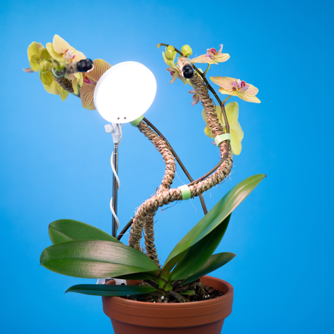 Adjustable LED Plant Light