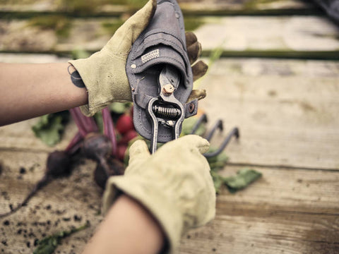 Pruner with Sheath