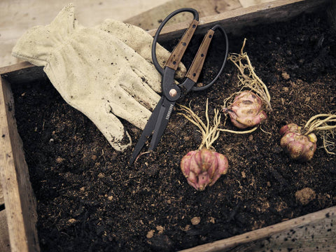 Garden Scissors