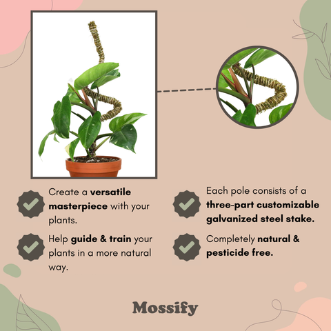 3 Pack Bendable Moss Pole™ 𝘛𝘏𝘐𝘕