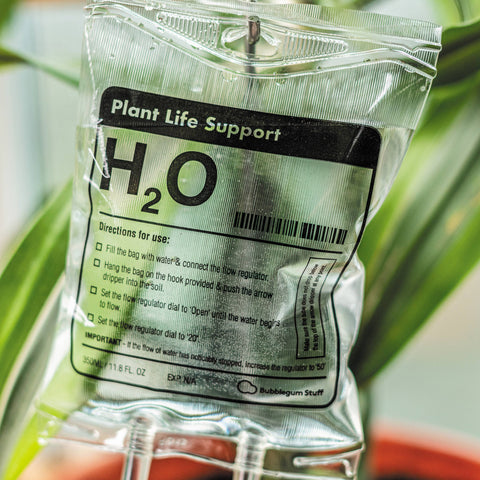 Plant Life Support Houseplant Watering Device