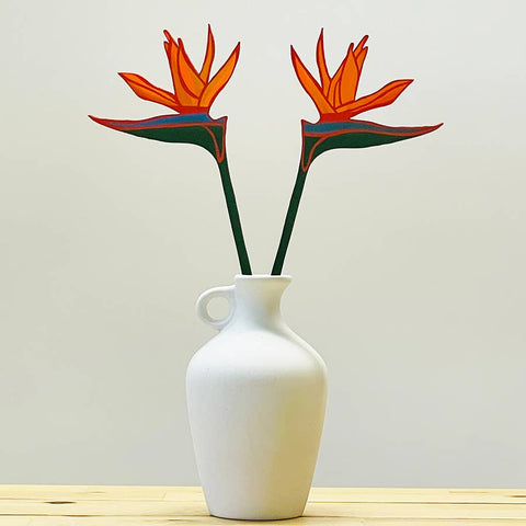 Bird of Paradise Forever Flower