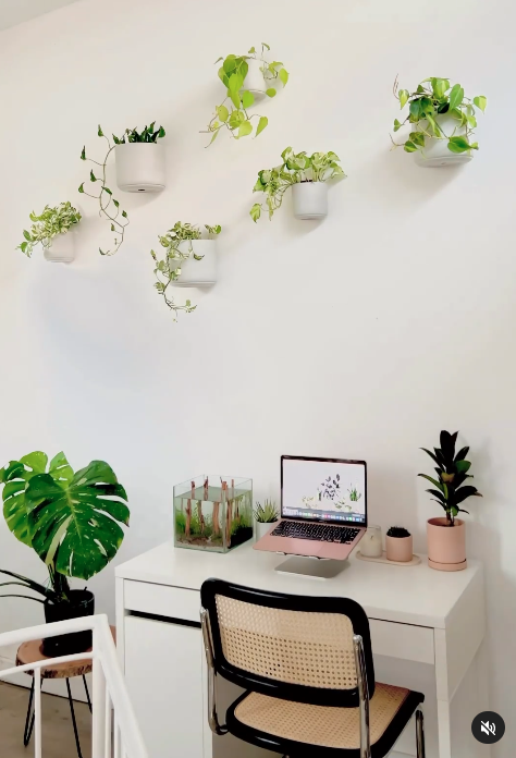 Wall Mounted Signature Stone Planters