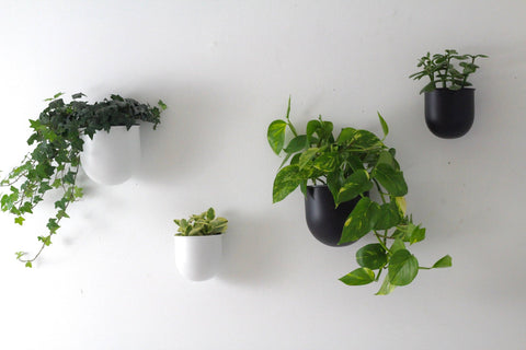 Round Minimalist Metal Wall Planter Pot