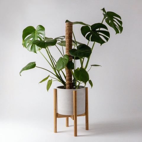 plant stand for monstera Adjustable Bamboo Plant Stand – Potted