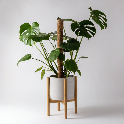 Adjustable Bamboo Plant Stand