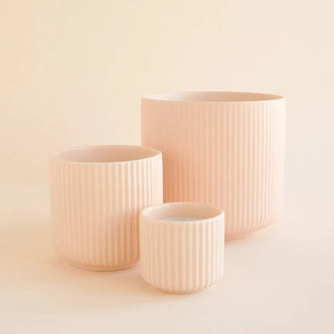 Lucy Pot