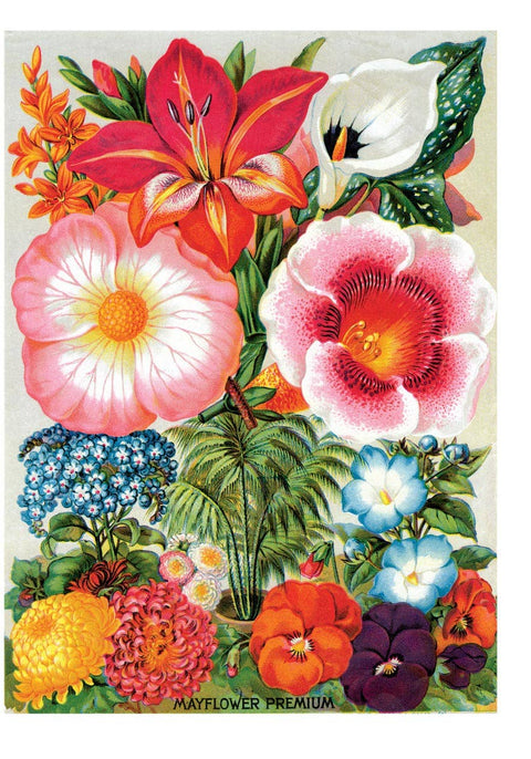 Summer Flowers - Blank Card