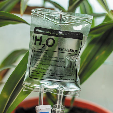 Plant Life Support Houseplant Watering Device