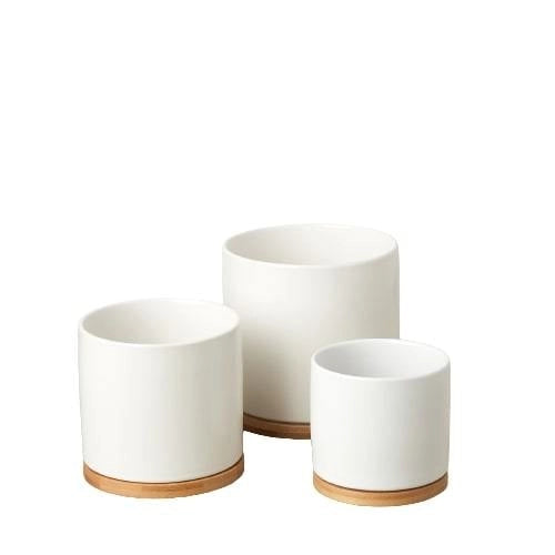 White Cylinder Pots with Wood Saucers