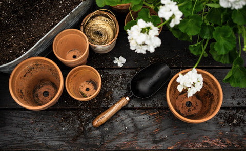 Metal Garden Scoop with Wooden Handle