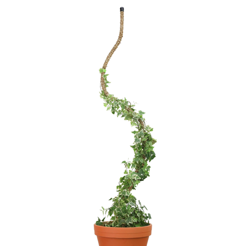 Original Bendable Coir Pole™ - Climbing Plants