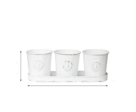 Metal Decorative Flower Pots - 3 Pots with 1 Tray