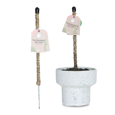 Original Bendable Coir Pole™ - Climbing Plants