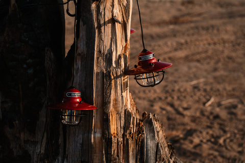 Edison String Lights