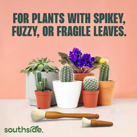 Cactus Dusting Brush - 2 pack