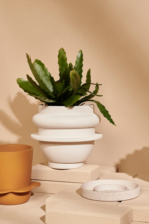Bud Planter