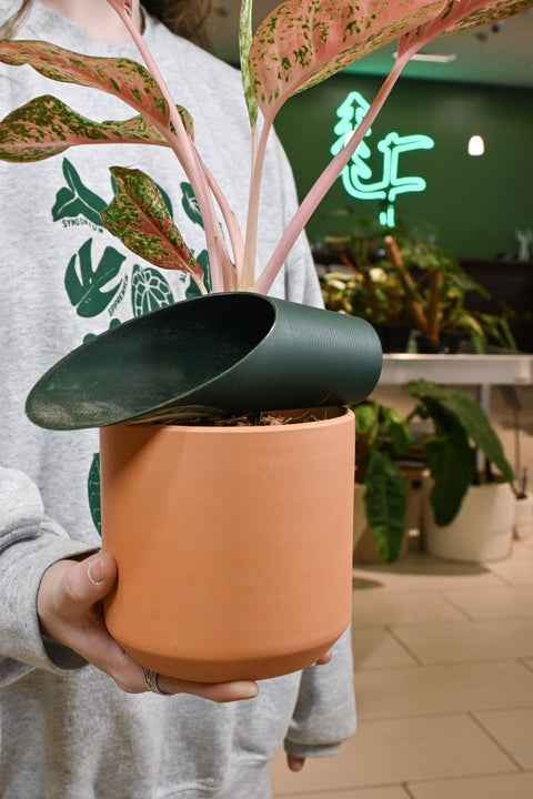 LITF Soil Scoop