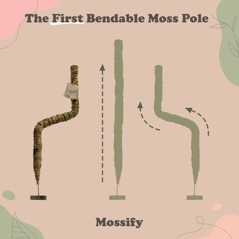 Original Bendable Moss Pole™ - Climbing Plants
