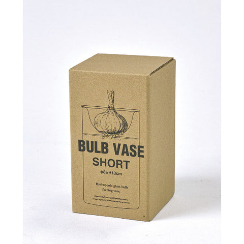 Bulb Vase