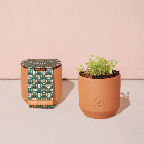 Tiny Terracotta Grow Kits