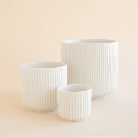 Lucy Pot