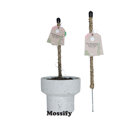 Original Bendable Coir Pole™ - Climbing Plants