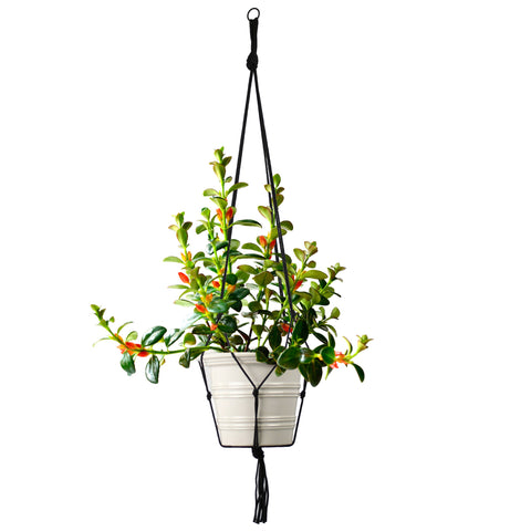 Macramé Plant Hanger - Black