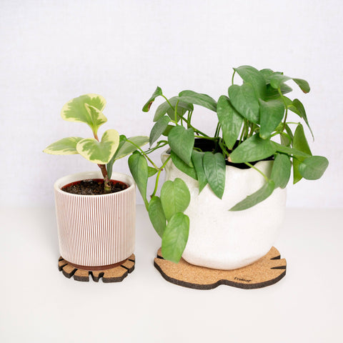 Kostr™ - Monstera Shaped Cork Pot Coaster