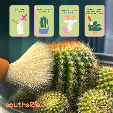 Cactus Dusting Brush - 2 pack